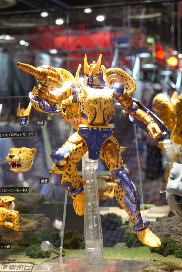 Wonderfest Summer 2016   Masterpiece Cheetor Color Photos Roundup Featuring Optimus Primal 12 (12 of 17)